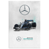 The F1 Mercedes